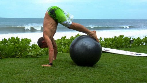 Taylor Knox